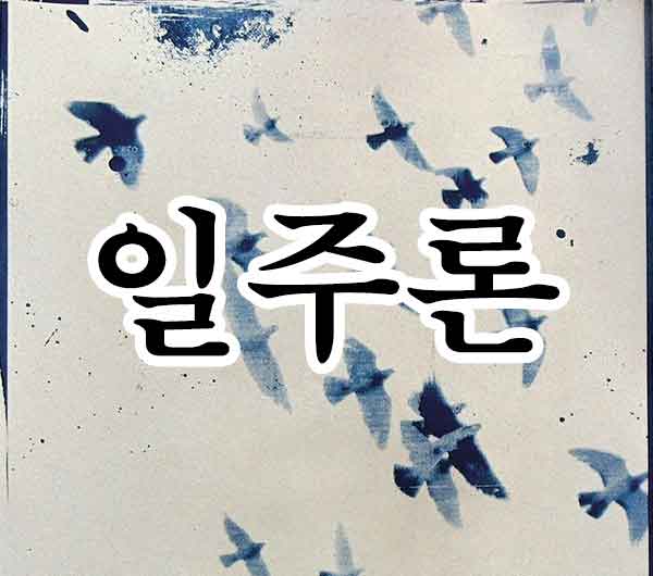 일주론-썸네일
