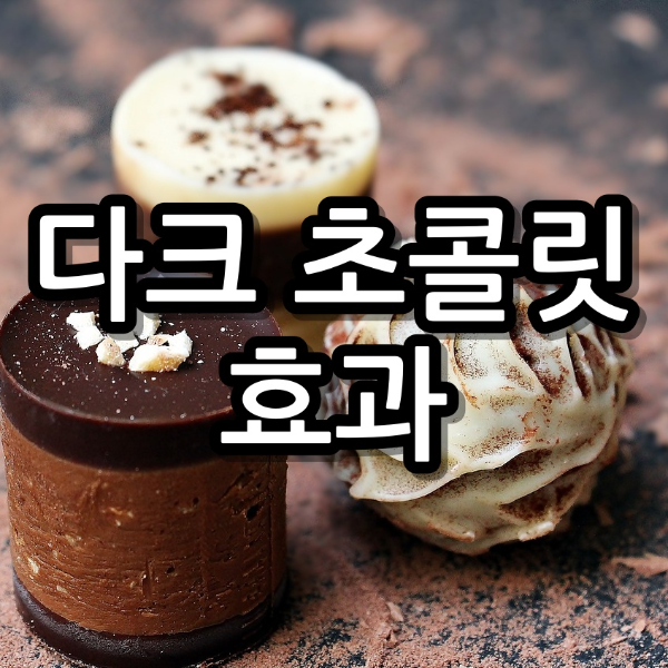 다크초콜릿의 효능 6가지 다이어트까지