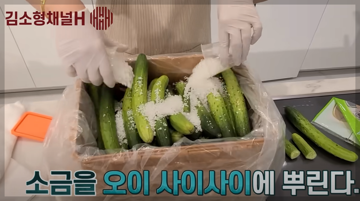 오이지 담그는법 비율 및 오이 장아찌 아삭하게담는법 