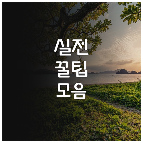 든든한 돌봄 2025 가사간병 방문지..