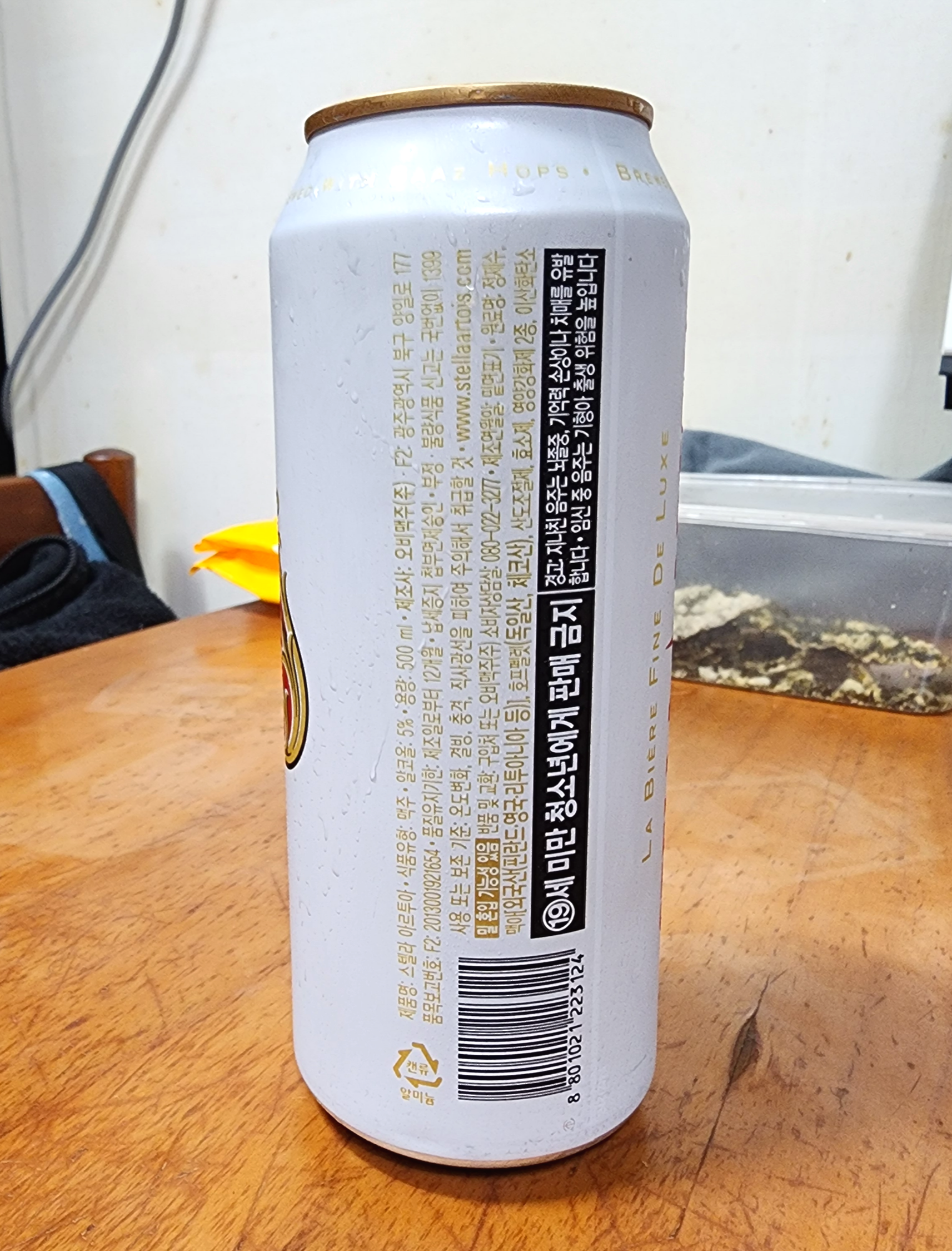 스텔라아르투아