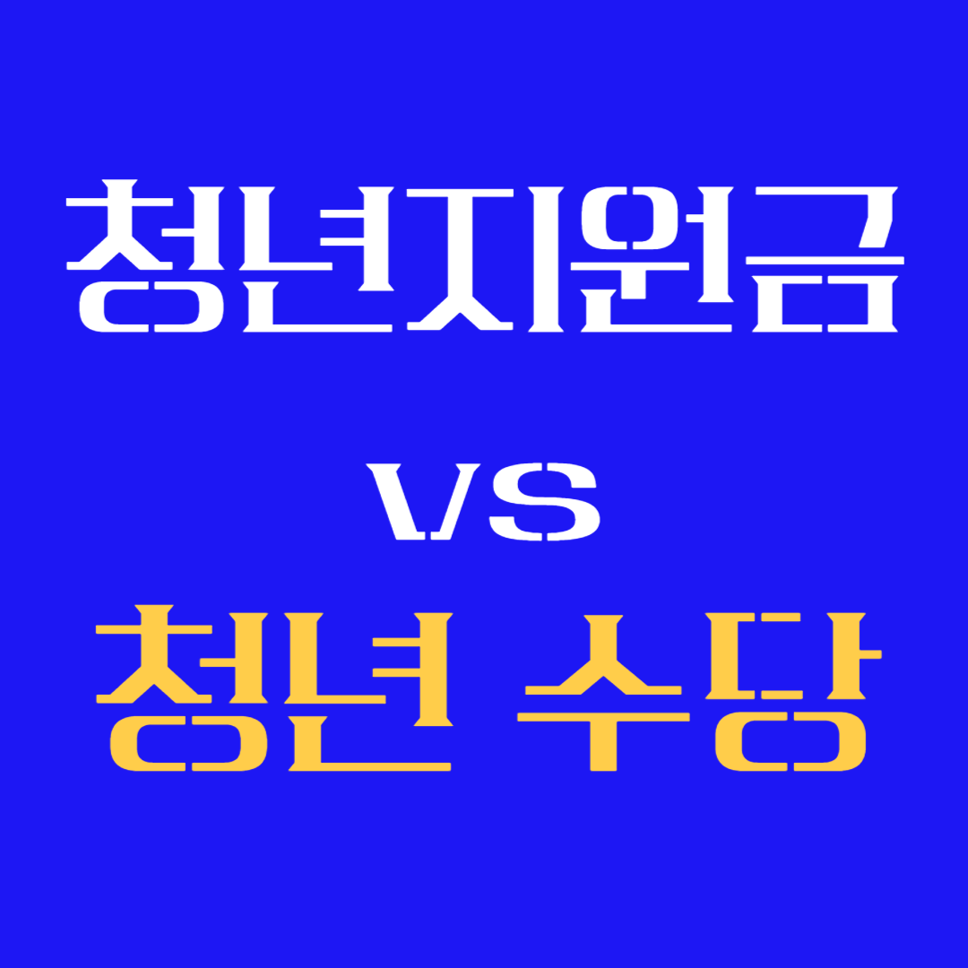청년 지원금 vs 청년수당