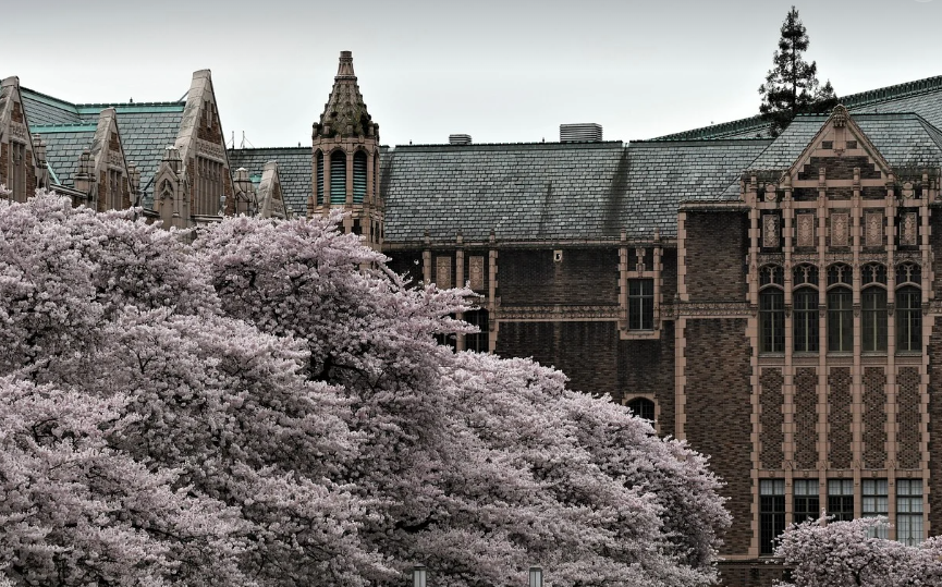 2026 논술전형 관련 사진