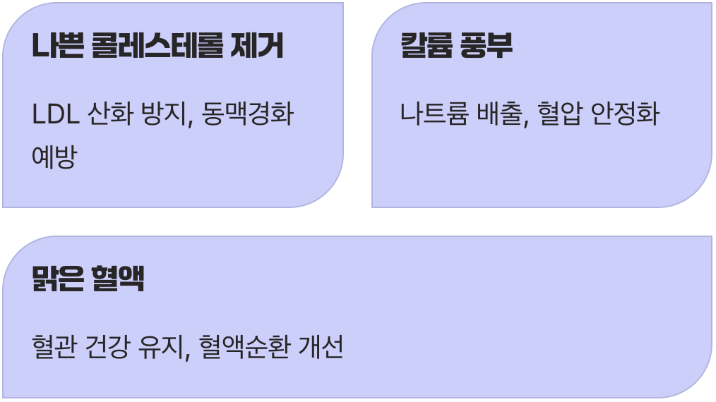 혈관을 깨끗하게, 몸속 청소부