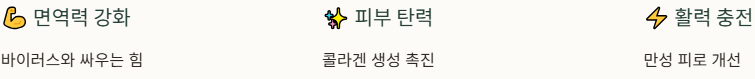 비타민C 역활 이미지
