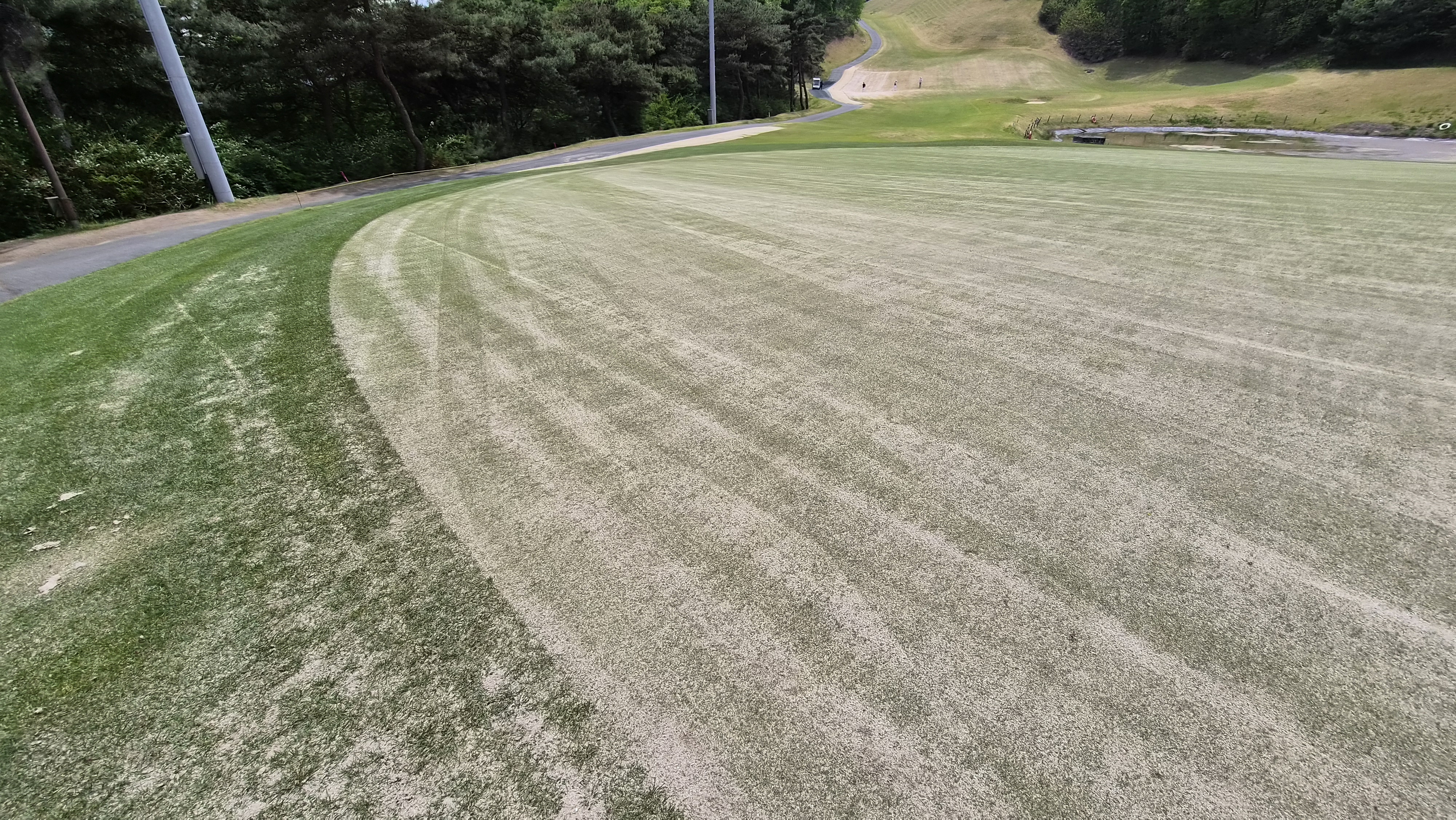 포웰cc 프린세스 라운드 후기