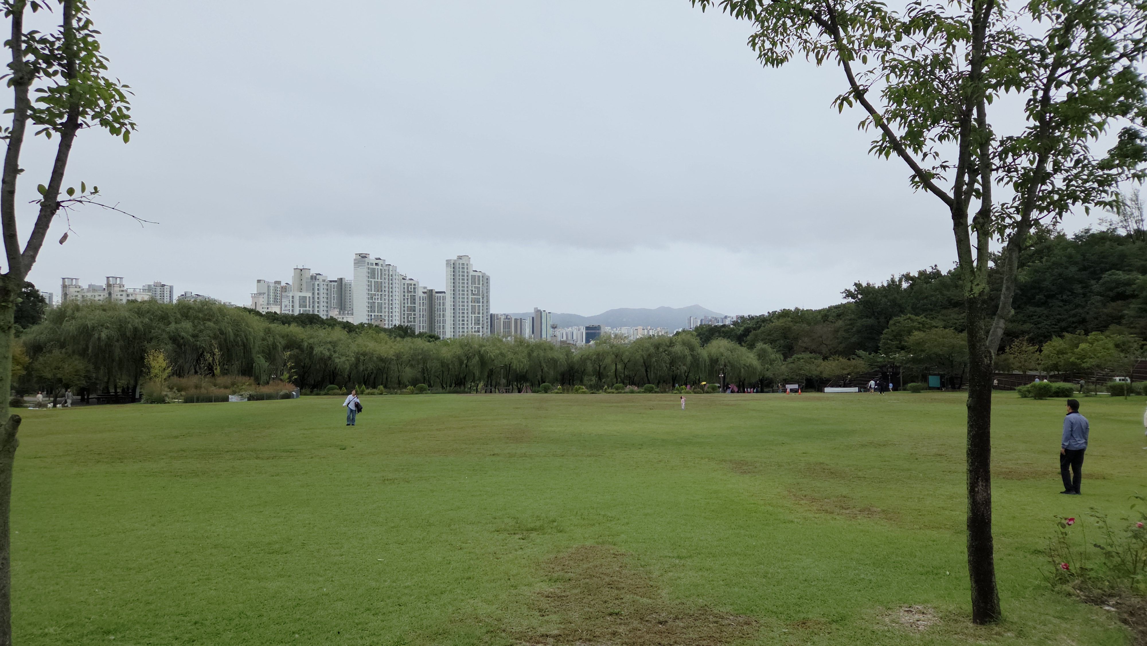 북서울꿈의숲 잔디밭