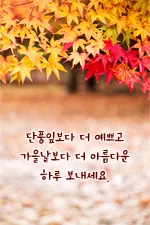 환절기 인사말 모음 예시 멘트_6