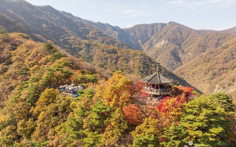 내장산 단풍 2026 미리 보는 절정 시기와 주차&middot;케이블카 예산 동선 총