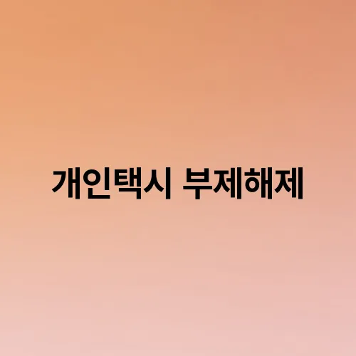 개인택시 부제해제