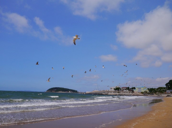 보령 해변 풍경 사진