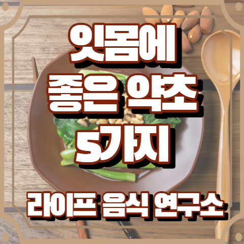 잇몸에 좋은 약초 5가지