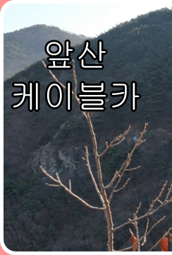대구 앞산 케이블카 요금 할인