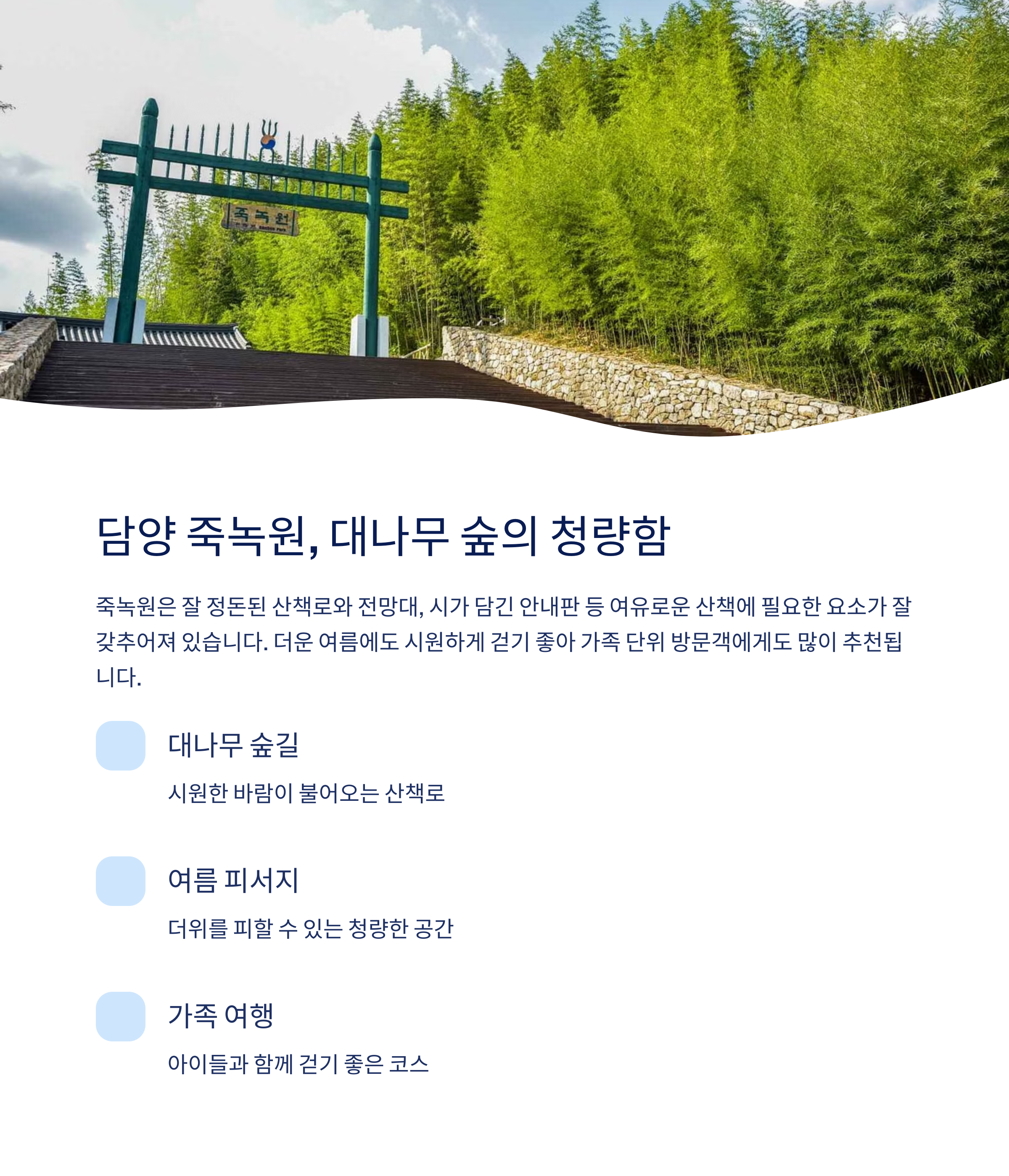 담양 죽녹원 대나무 숲의 청량함