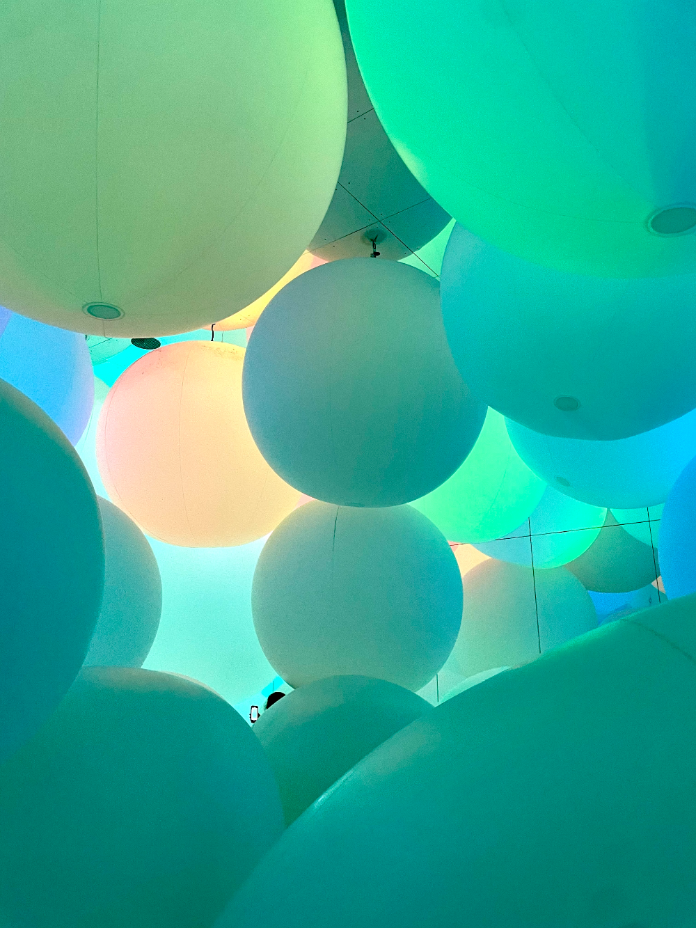 일본 도쿄 팀랩플래닛 관람-평면화하는 세 가지 색과 모호한 아홉 가지 색