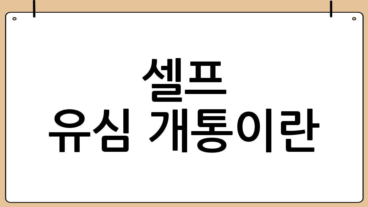 셀프 유심 개통이란