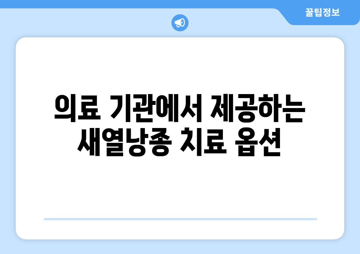 의료 기관에서 제공하는 새열낭종 치료 옵션