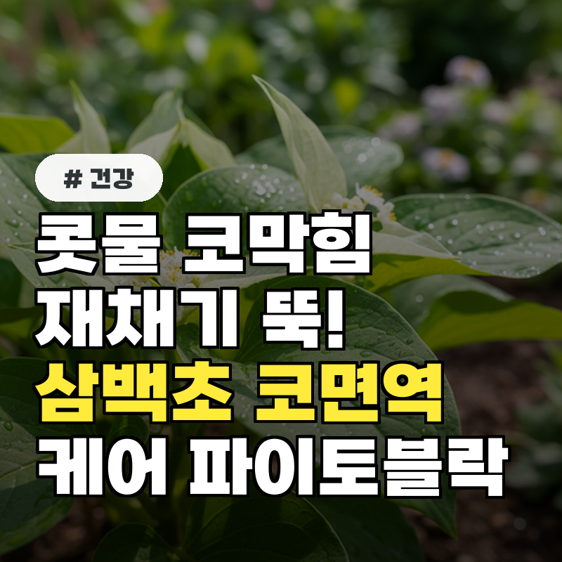 콧물·코막힘·재채기 뚝! 삼백초로 코면역 케어! 파이토블락