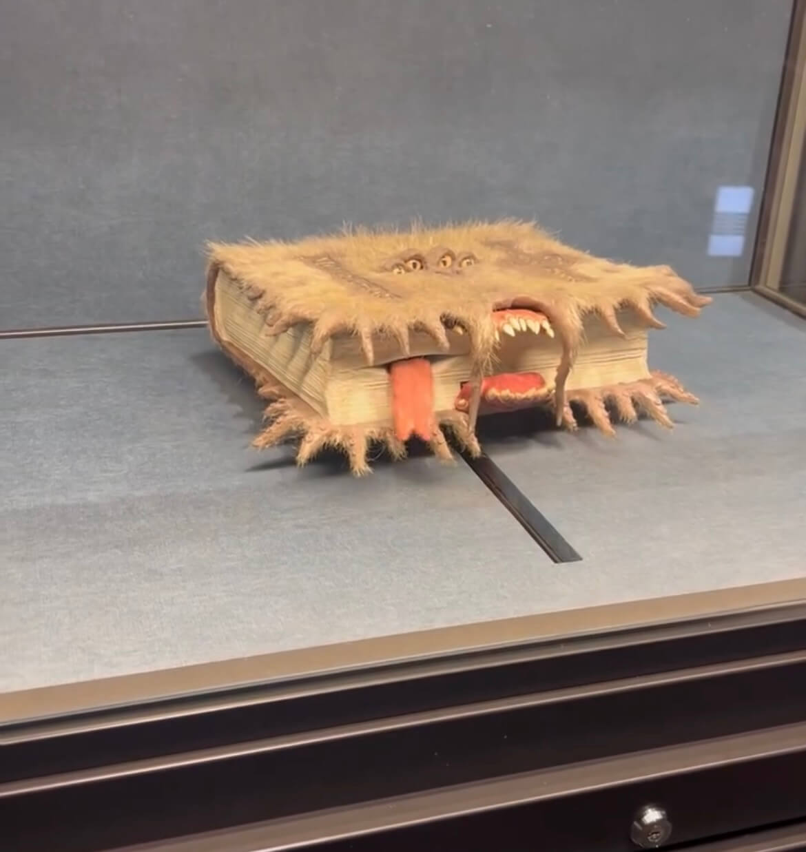 아이 나이에 맞춘 해외 가족여행지 BEST 7 (디즈니, 유니버셜, 레고랜드) 관련사진