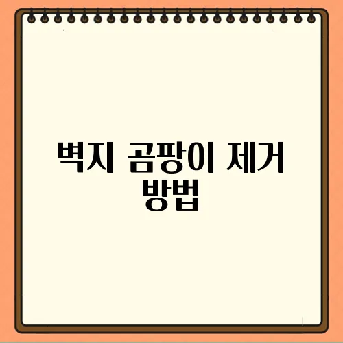 벽지 곰팡이 제거 방법