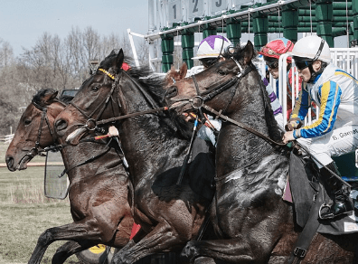2024 렛츠런파크 서울 가을축제 밤마실 페스티벌