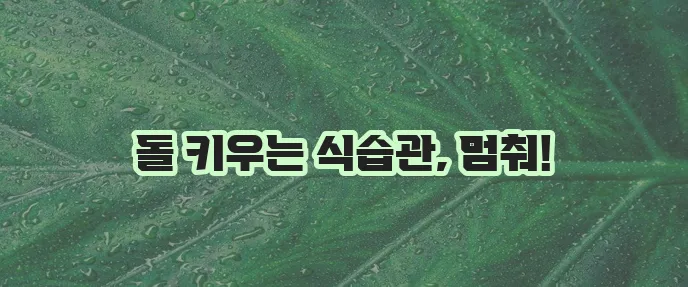 요로결석에 나쁜음식 5가지