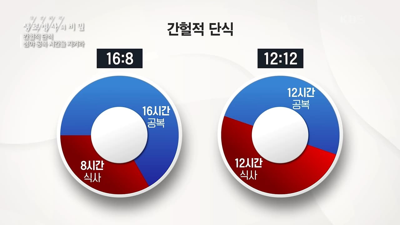 간헐적 단식 종류