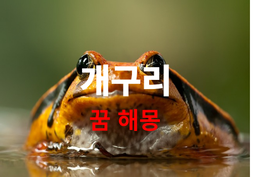 개구리 나오는 꿈은 어떤 의미가 있을까요? 재물운, 태몽, 연애운까지 완벽 정리 ( 개구리 무료 꿈 해몽, Frog Dream Interpretation )