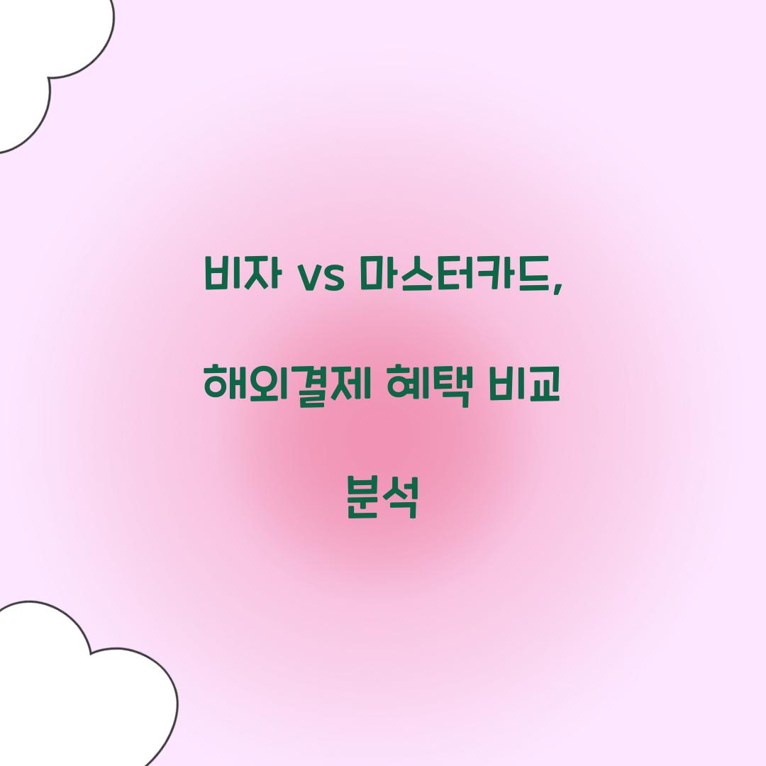 비자 vs 마스터카드