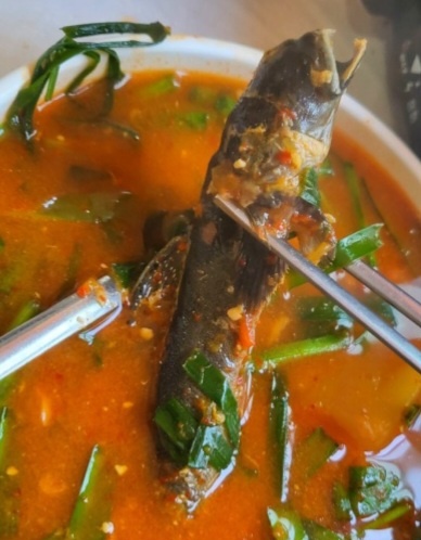전현무계획2 짱뚱어탕 순천 맛집 위치 및 정보 