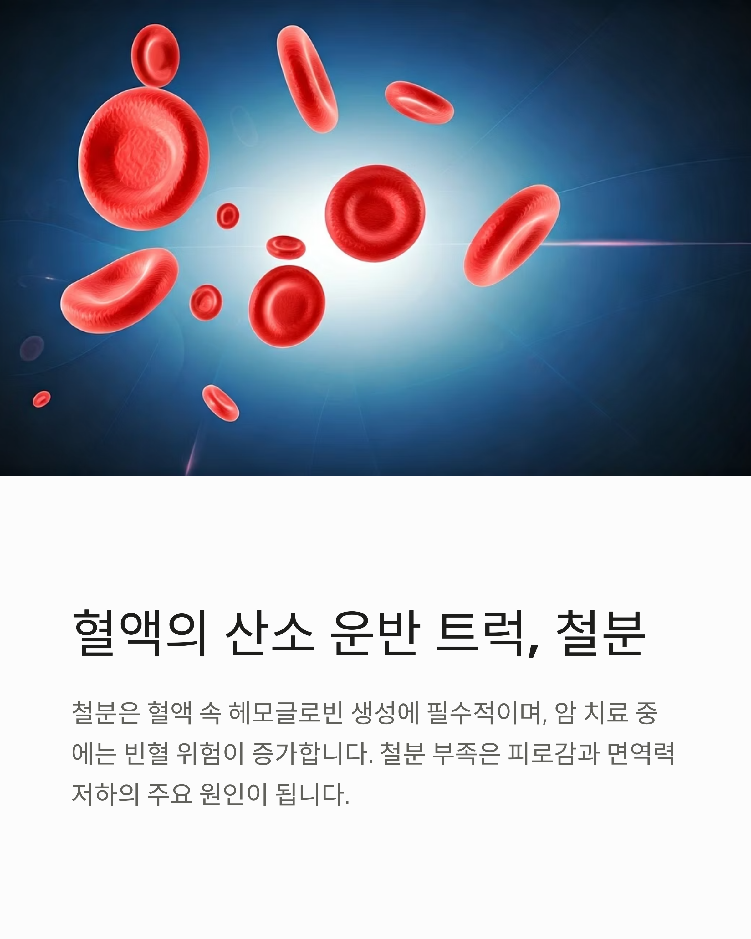 혈액의 산소 운반 트럭 철불