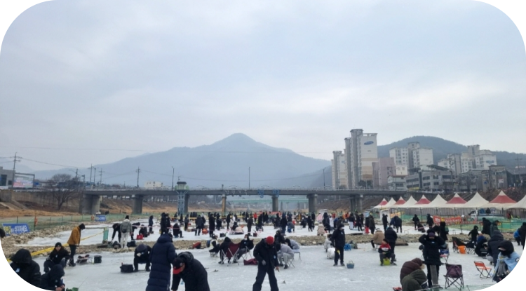 축제정보