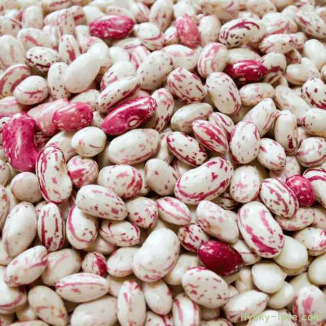 관절에 좋은 호랑이콩