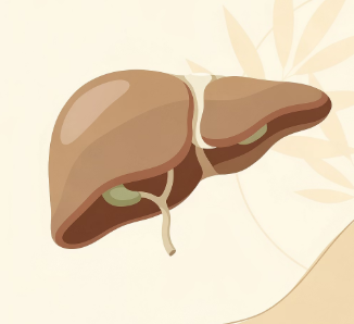 피부에 붉은 반점이 생기는 이유