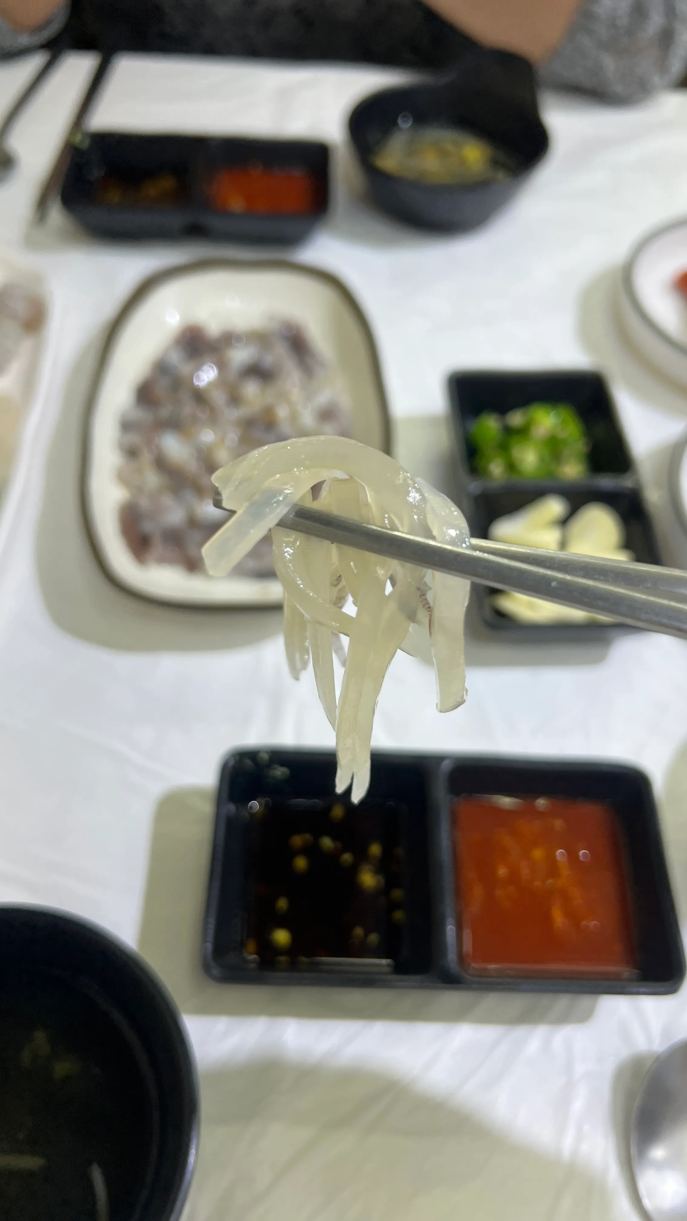 강릉 중앙시장 오징어회 가격
