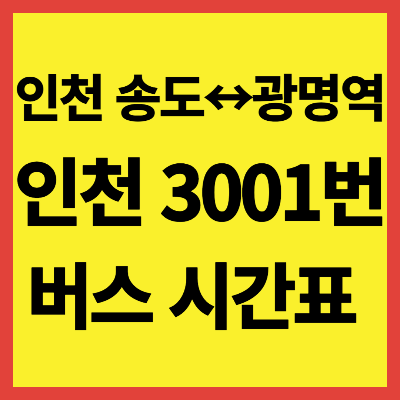 인천 3001번 버스 시간표