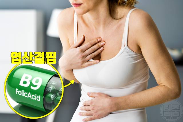 엽산 부족 증상 엽산효능 얼굴창백 원인