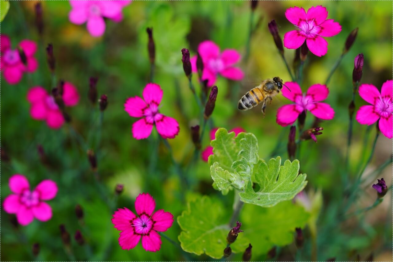 우리은행 정기예금 금리