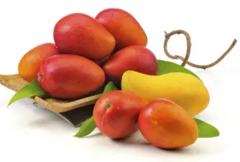 애플 망고 가격 및 효능, 영양성분