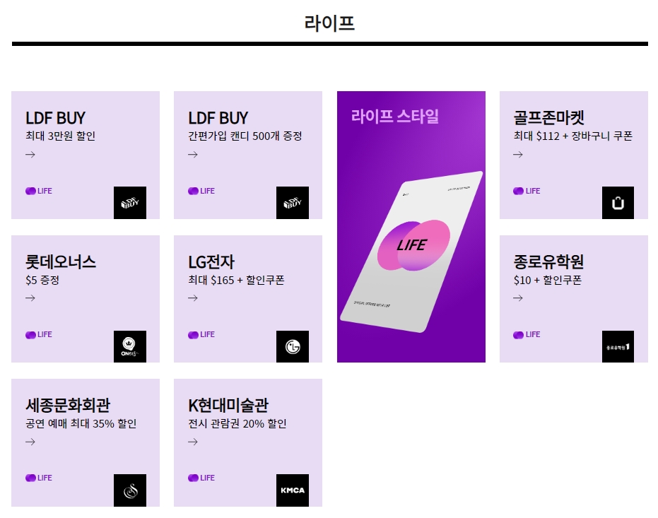 롯데 인터넷 면세점(7)