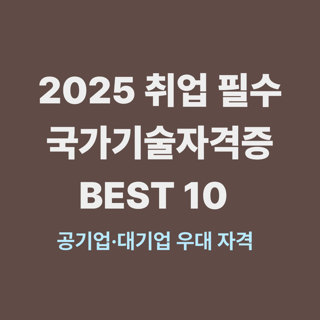 2025 취업 필수 국가기술자격증 순위