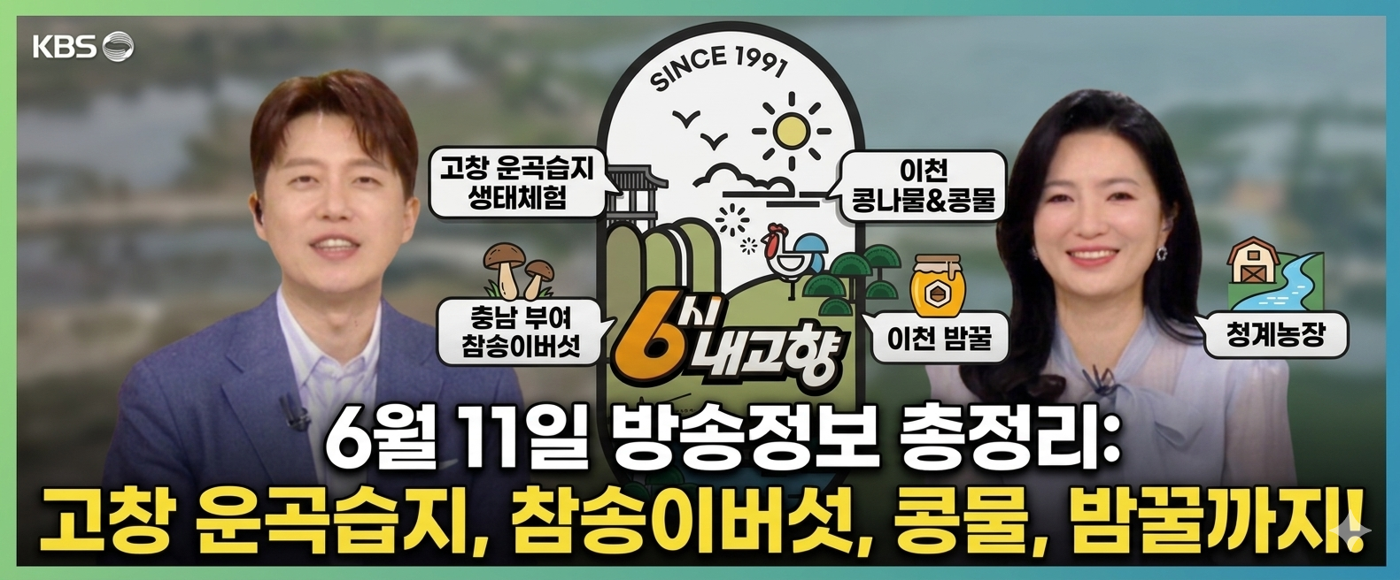 6월 11일 6시 내고향 맛집&middot;체험지 어디? 부여 참송이버섯&middot;이천 콩나물 택배 주문 및 방문처 리스트 관련사진
