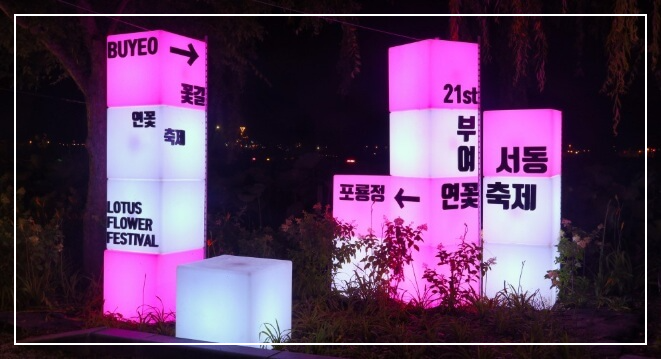 부여 서동 연꽃 궁남지 연꽃 개화·관람 팁