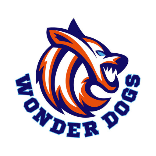 원더독스뜻 배구 멤버 경기결과 방송 이진