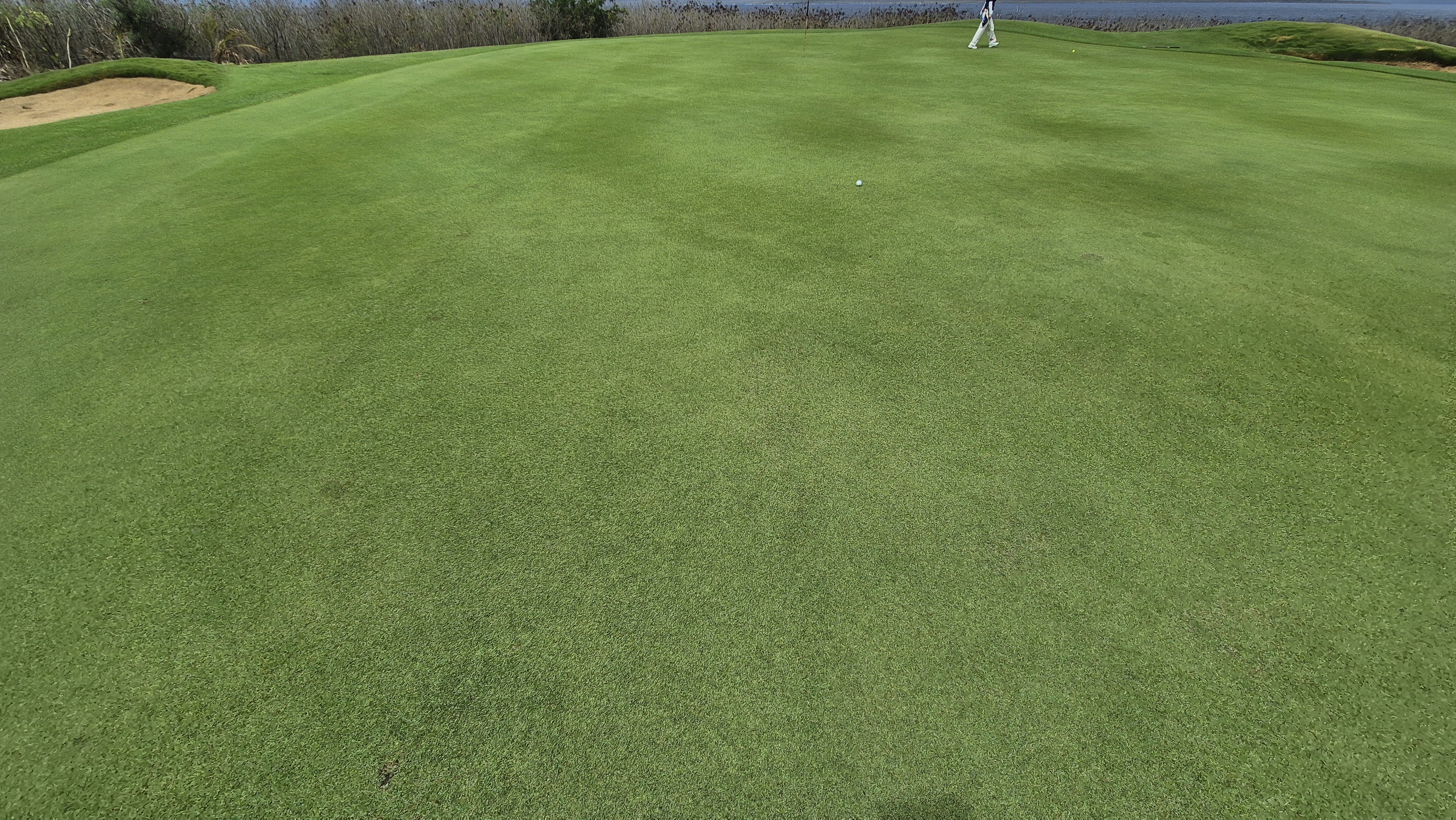 코랄오션cc 골프 라운드