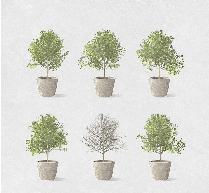 반려식물과 함께하는 싱글라이프: 초록이와 함께하는 힐링 생활