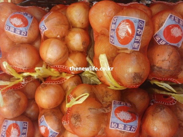 우리 땅에서 자라 믿을 수 있는 신토불이 마크가 선명한 국내산 저장 양파 실물 사진
