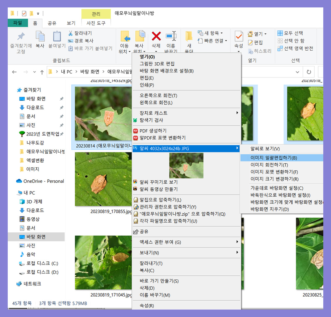image-7
