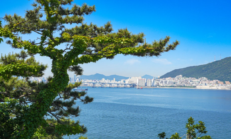 송도 용궁구름다리