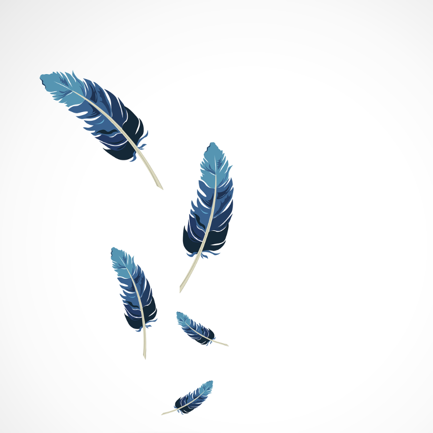 새 깃털의 단열 및 색상 구조를 모방한 기능성 직물